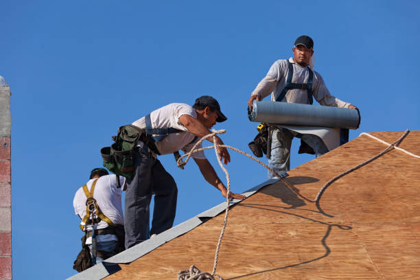 Best Gutter Installation and Roofing  in Kingston, TN